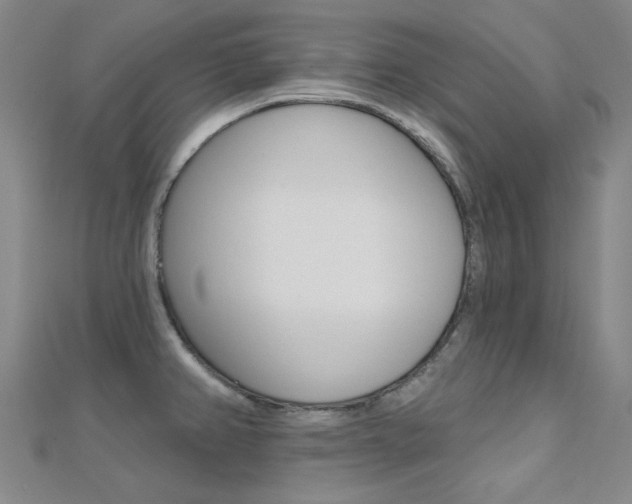X0000112161382200908070929
