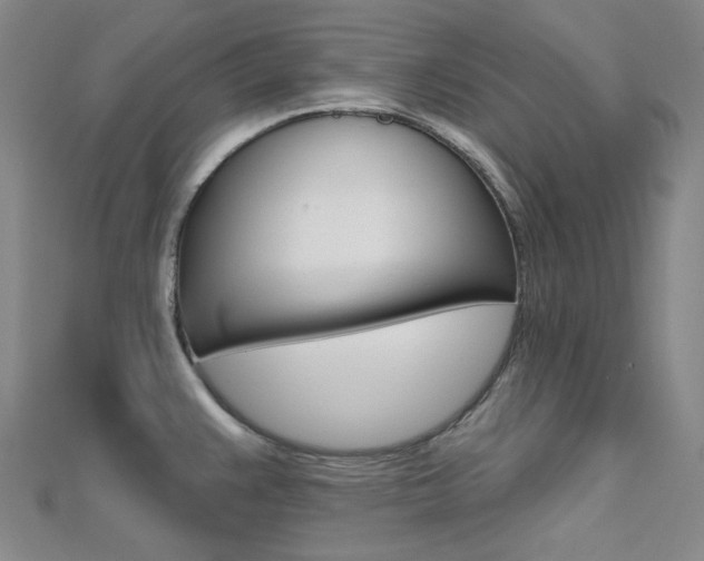 X0000112161383200908070929