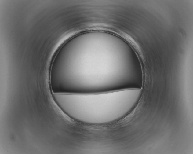 X0000112161384200908070929