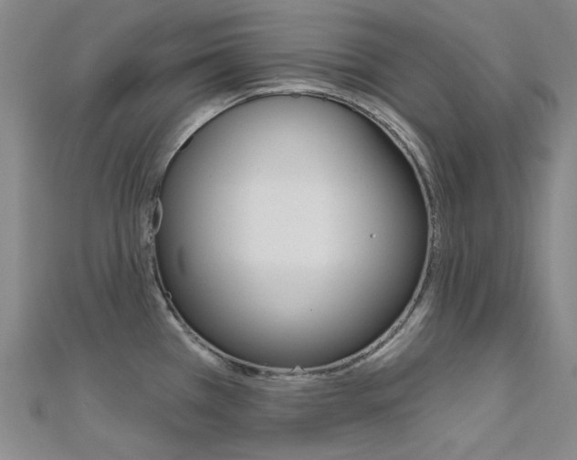 X0000112161385200908070929