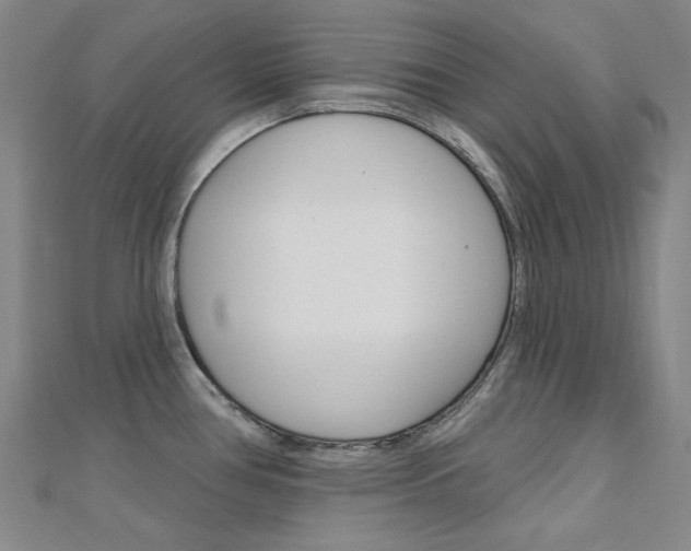 X0000112161386200908070929