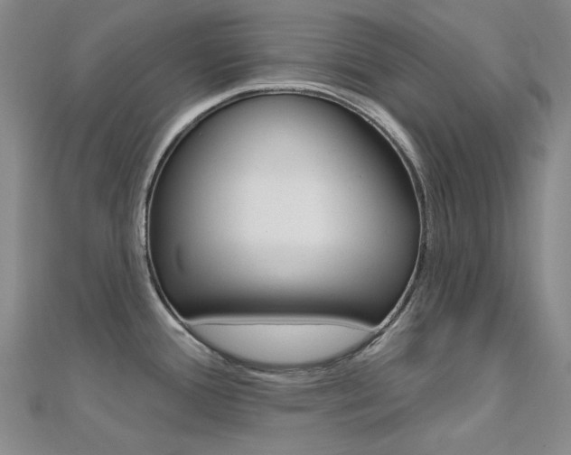 X0000112161388200908070929