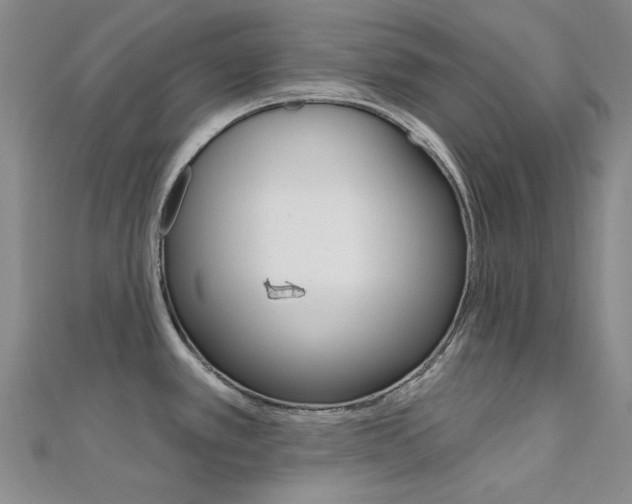 X0000112161389200908070929