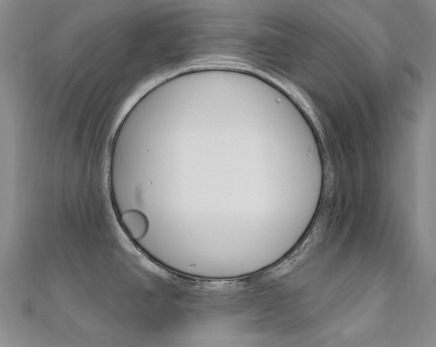 X0000112161390200908070929