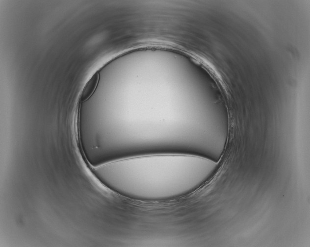 X0000112161391200908070929