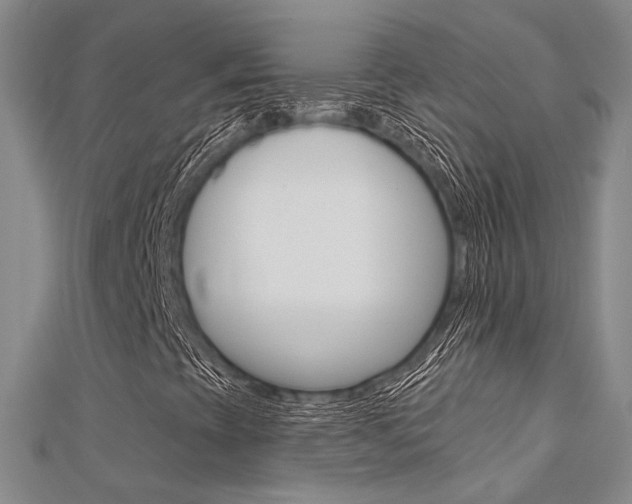 X0000112161393200908070929
