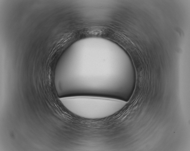 X0000112161394200908070929