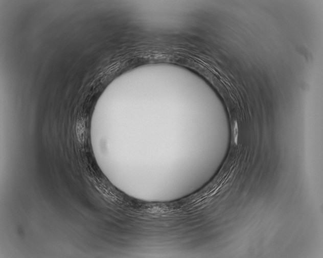 X0000112161395200908070929