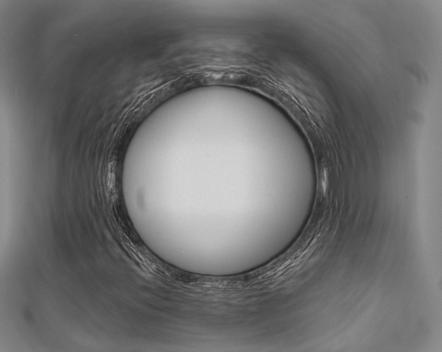 X0000112161396200908070929