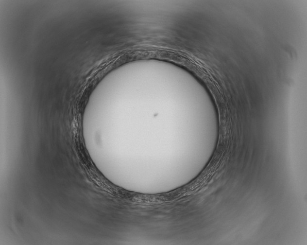 X0000112161397200908070929