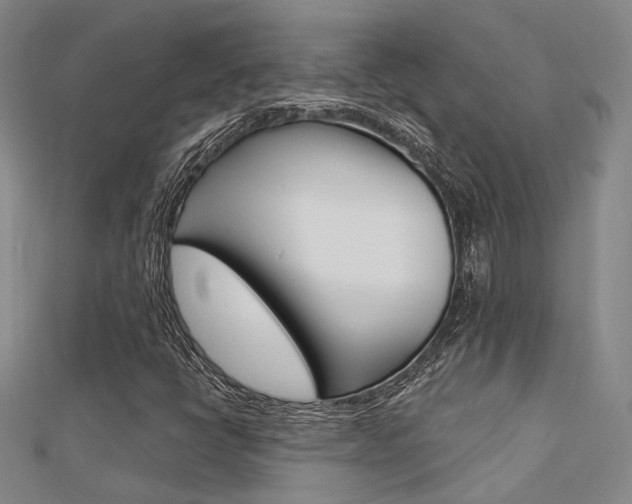 X0000112161398200908070929