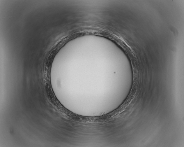 X0000112161399200908070929
