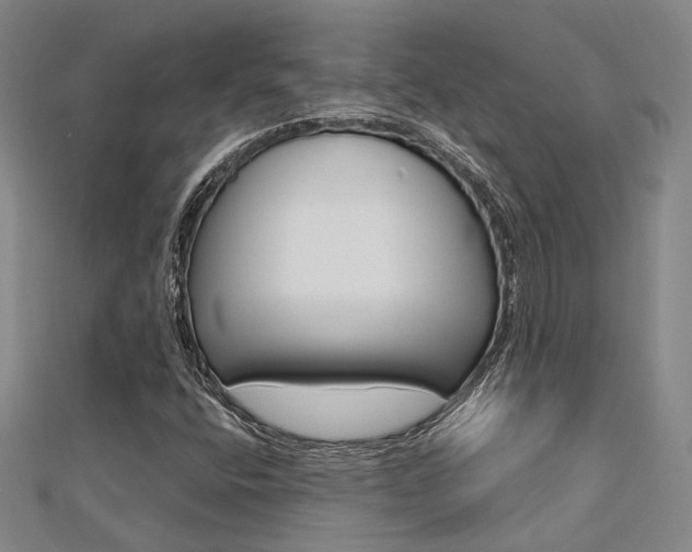 X0000112161400200908070929