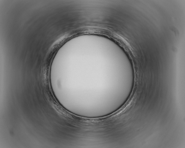 X0000112161403200908070929