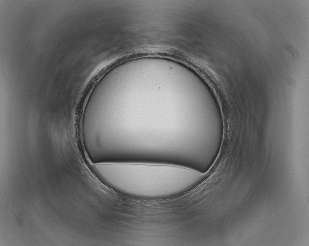 X0000112161404200908070929