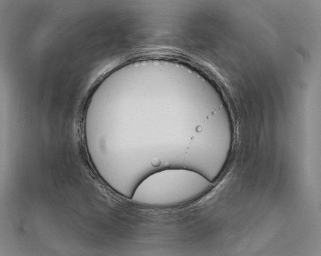 X0000112161405200908070929