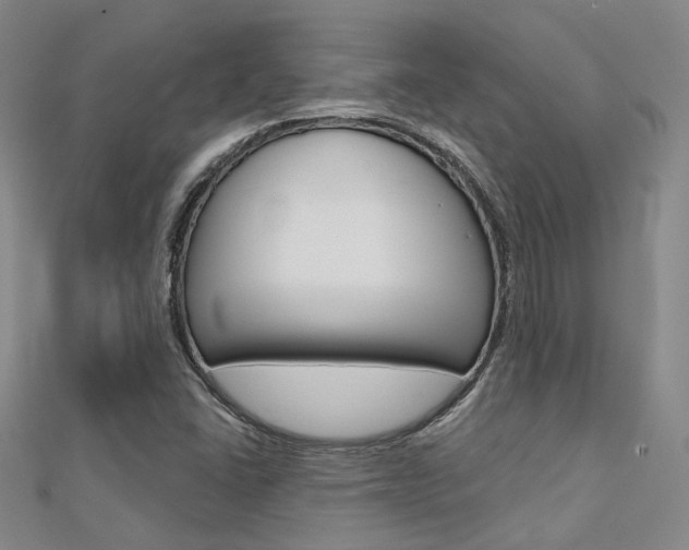 X0000112161406200908070929
