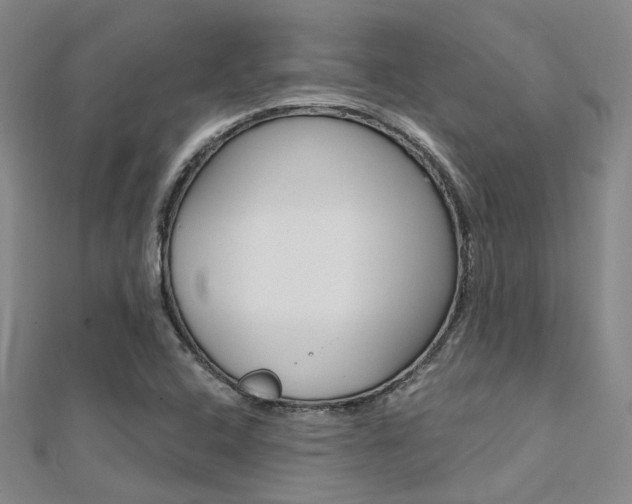 X0000112161408200908070929