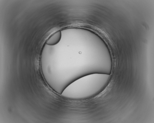 X0000112161409200908070929