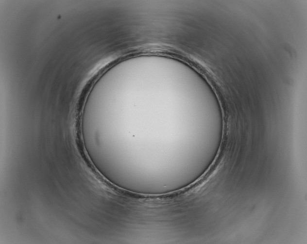 X0000112161410200908070929