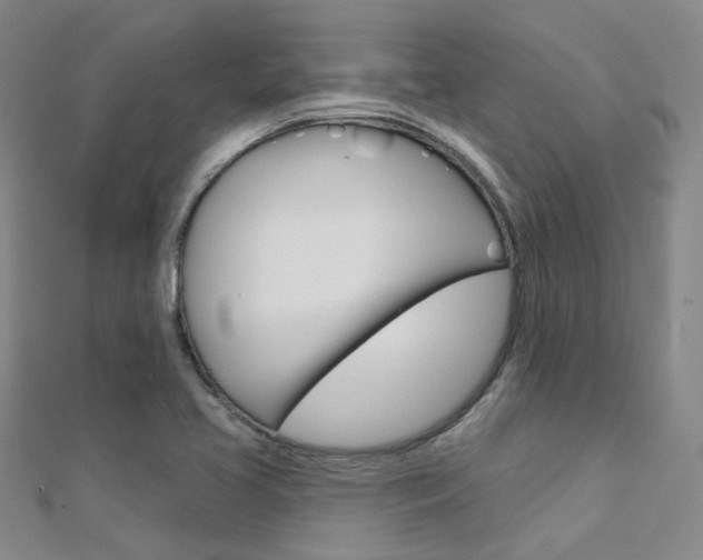 X0000112161413200908070929
