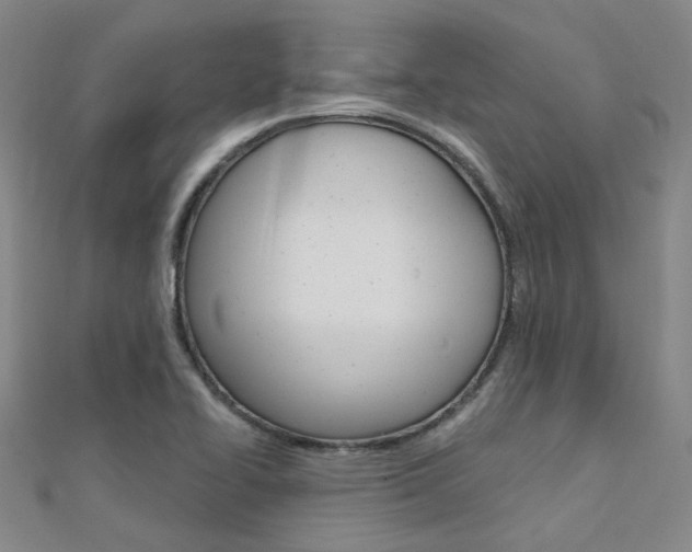 X0000112161414200908070929