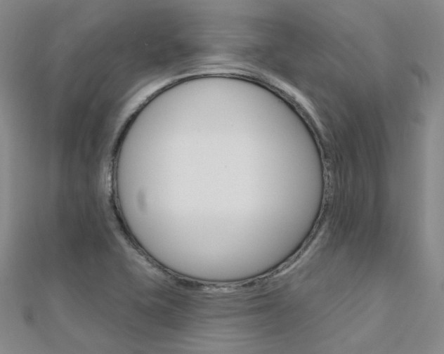 X0000112161415200908070929