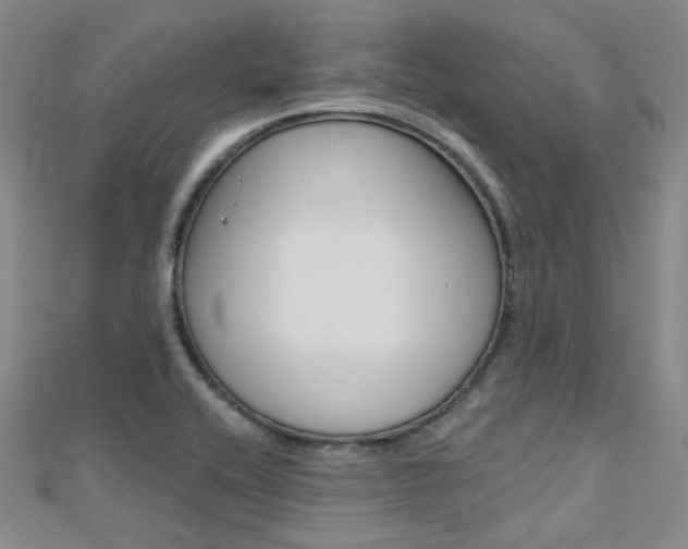 X0000112161416200908070929