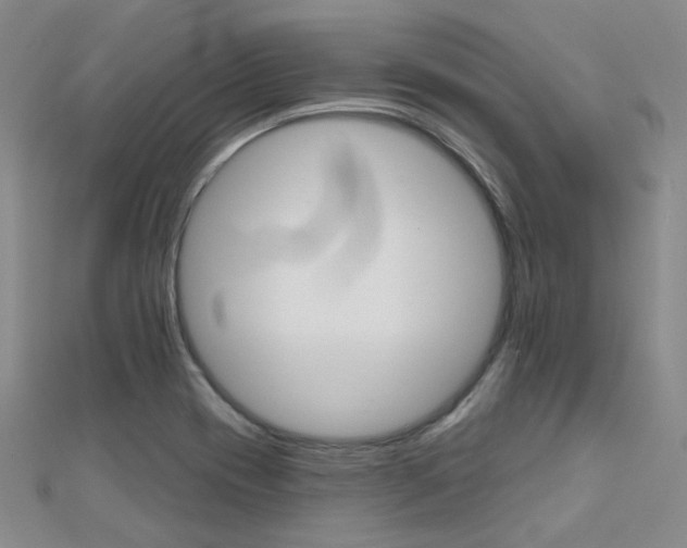 X0000112161417200908070929