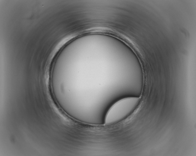 X0000112161418200908070929