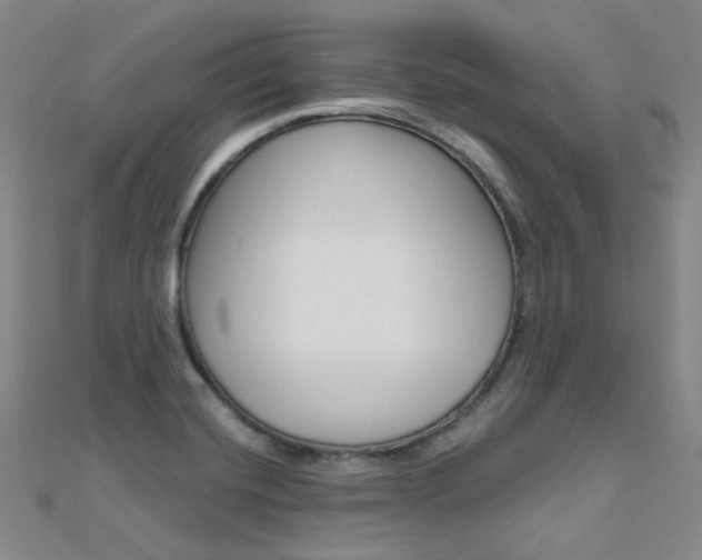 X0000112161420200908070929