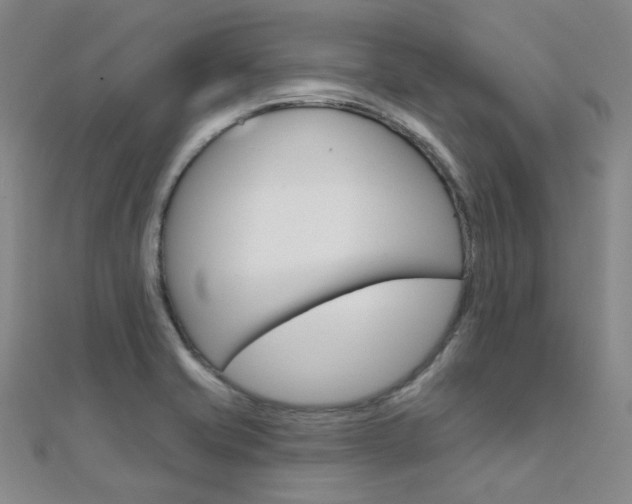 X0000112161421200908070929