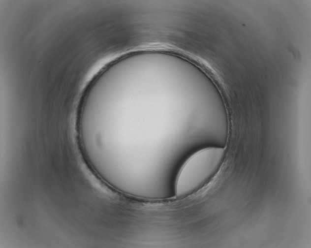 X0000112161422200908070929