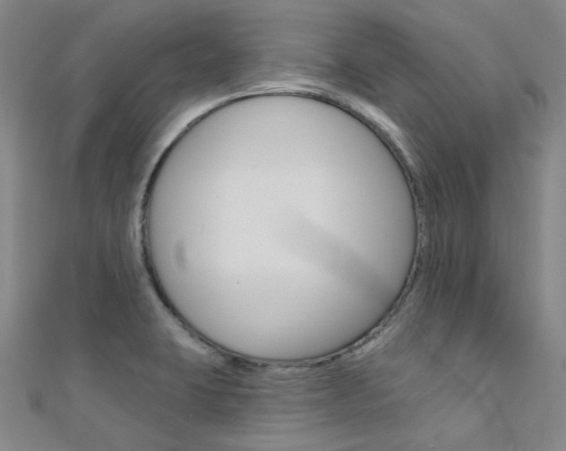 X0000112161423200908070929