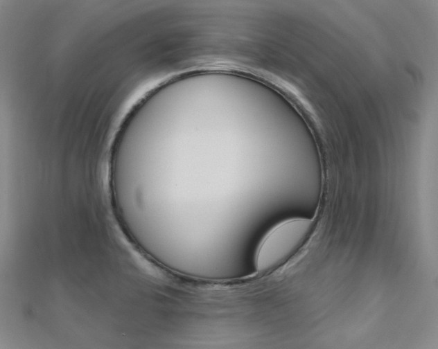X0000112161424200908070929