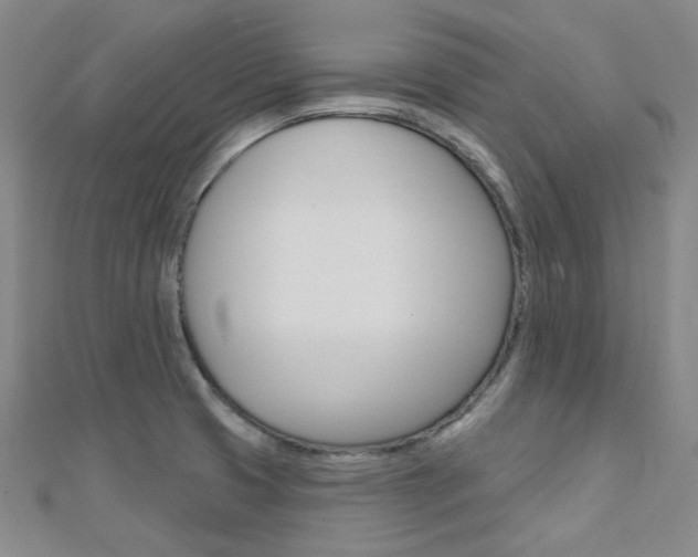 X0000112161425200908070929
