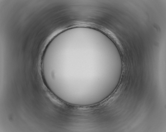 X0000112161427200908070929