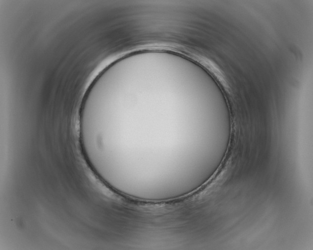 X0000112161428200908070929