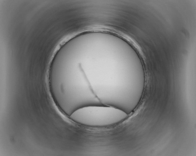 X0000112161429200908070929