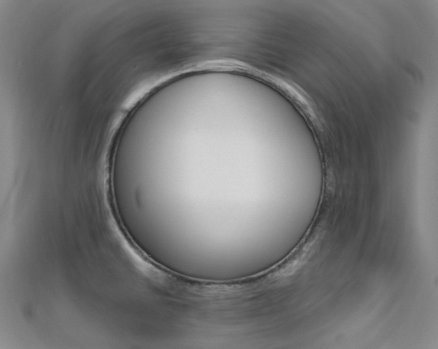 X0000112161430200908070929