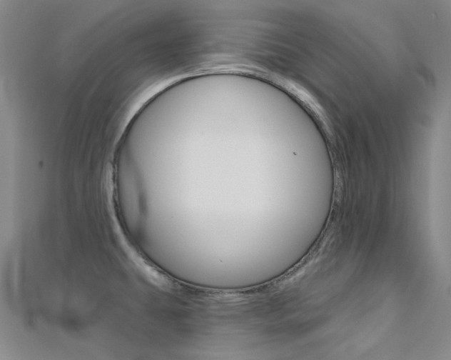 X0000112161431200908070929