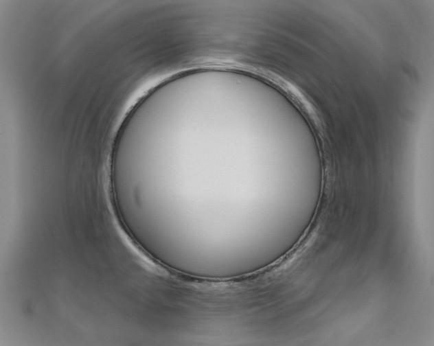 X0000112161432200908070929