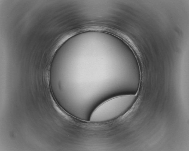 X0000112161433200908070929