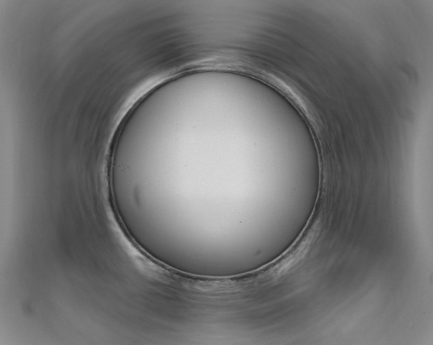 X0000112161434200908070929