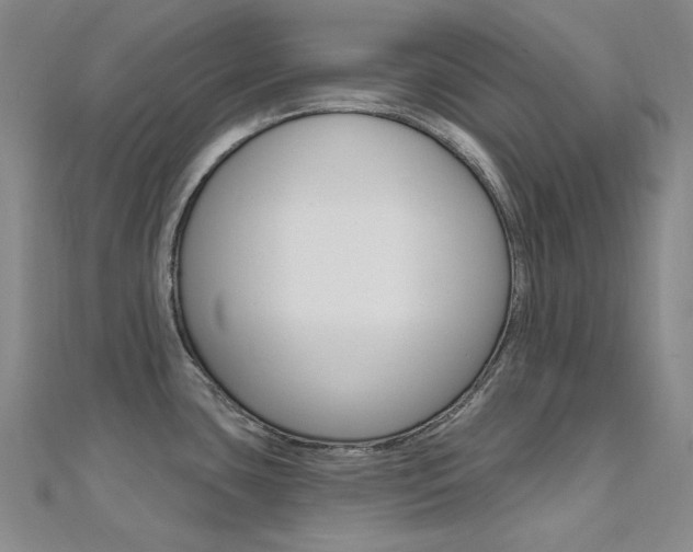 X0000112161435200908070929