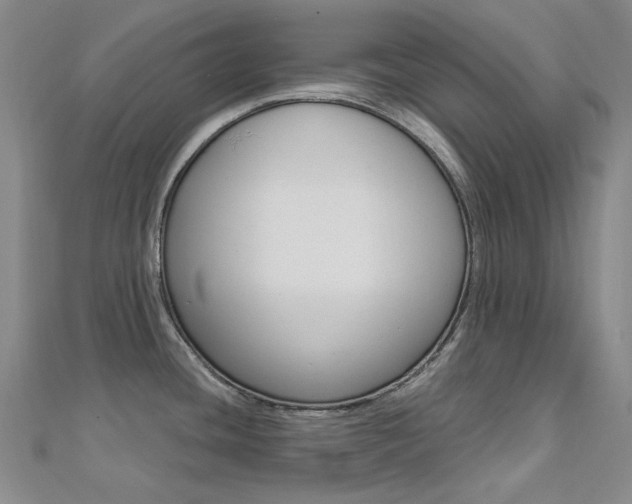 X0000112161436200908070929