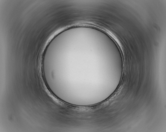 X0000112161437200908070929