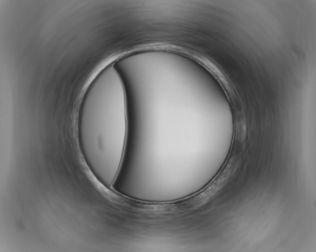 X0000112161438200908070929