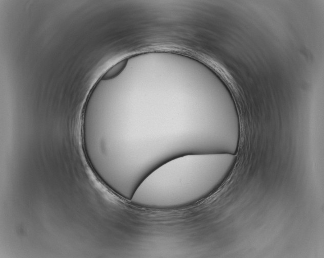 X0000112161439200908070929