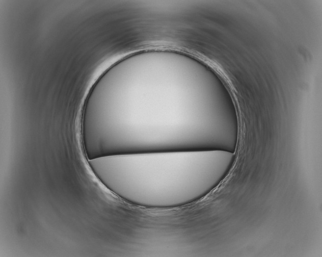 X0000112161440200908070929